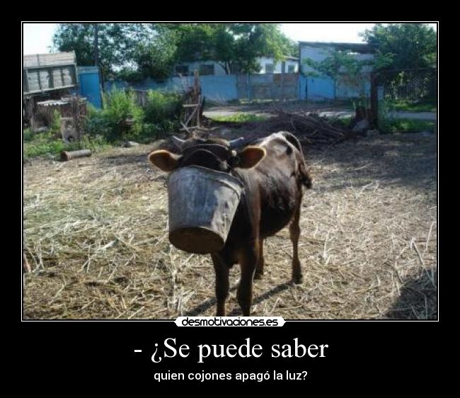 - ¿Se puede saber - quien cojones apagó la luz?