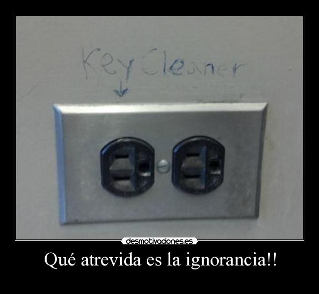 Qué atrevida es la ignorancia!! -
