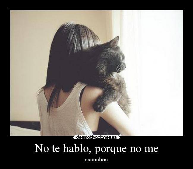 No te hablo, porque no me - 