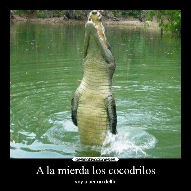 A la mierda los cocodrilos -