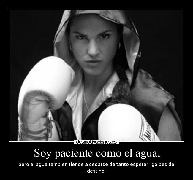carteles lucha desmotivaciones