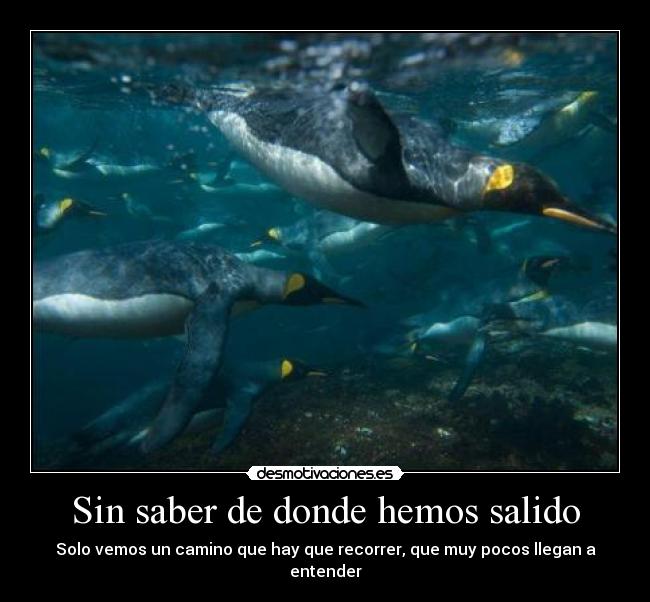 Sin saber de donde hemos salido - Solo vemos un camino que hay que recorrer, que muy pocos llegan a entender