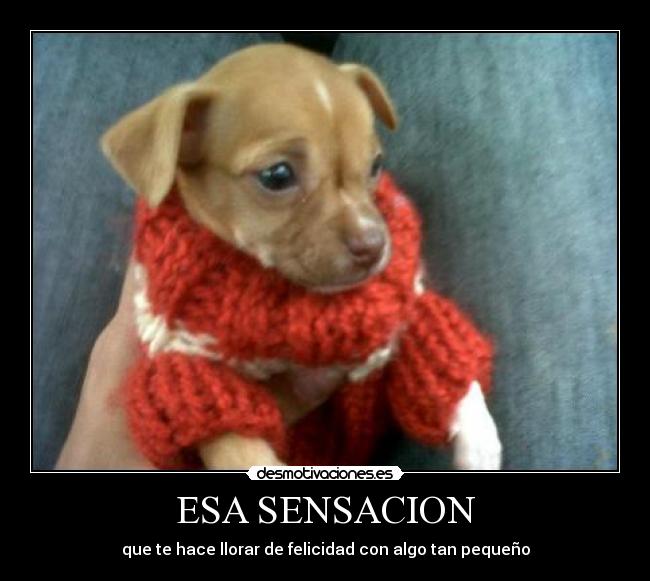 ESA SENSACION -