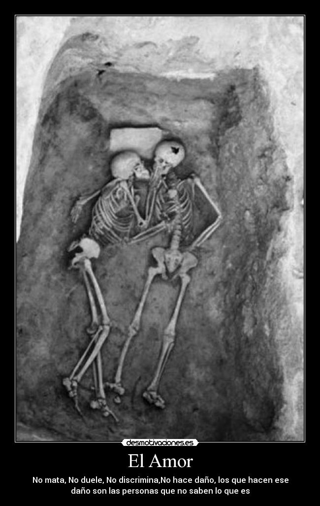 El Amor - No mata, No duele, No discrimina,No hace daño, los que hacen ese
daño son las personas que no saben lo que es