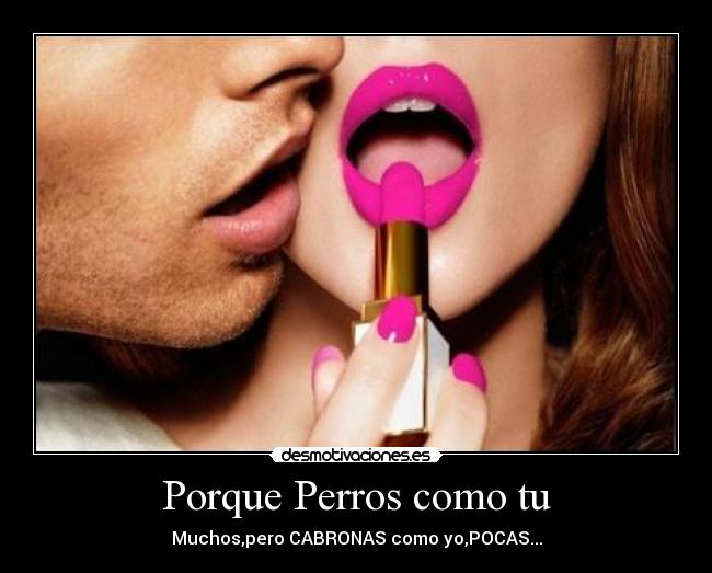 Porque Perros como tu -