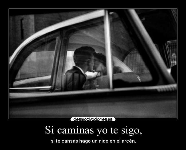 Si caminas yo te sigo, - 