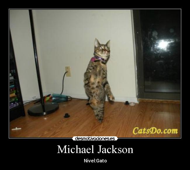 Michael Jackson - Nivel:Gato