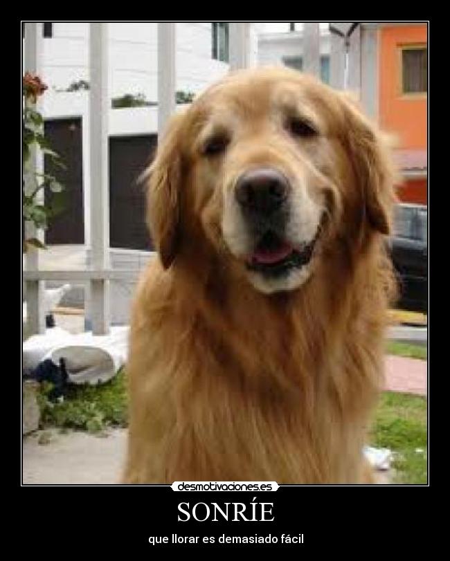SONRÍE - que llorar es demasiado fácil