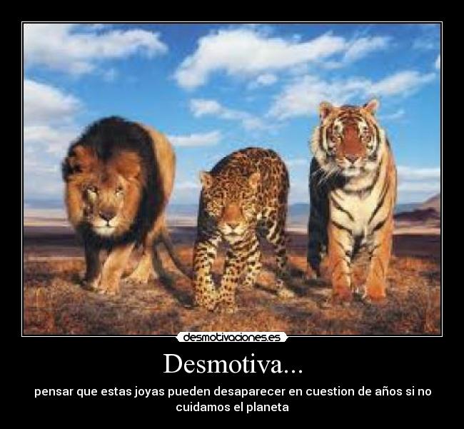 Desmotiva... - 
