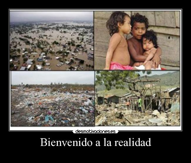 Bienvenido a la realidad -