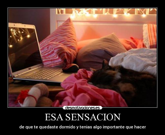 carteles cosas sin razon como mucha razon desmotivaciones