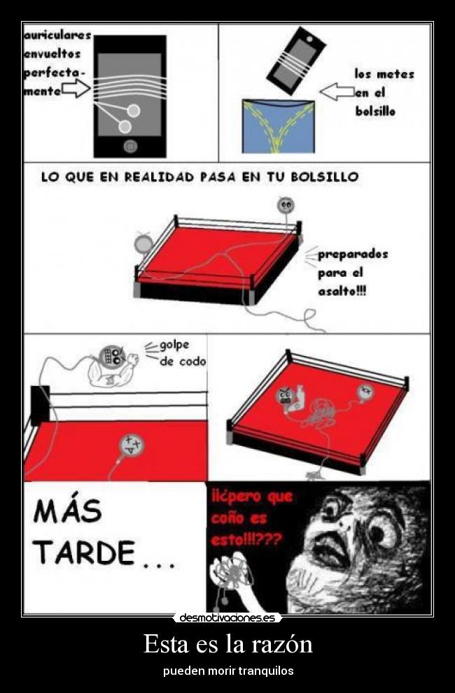 Esta es la razón - pueden morir tranquilos