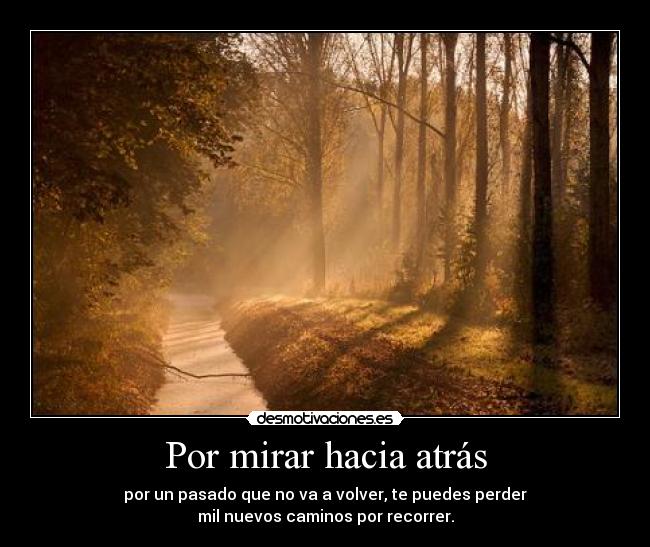 carteles mira hacia delante desmotivaciones