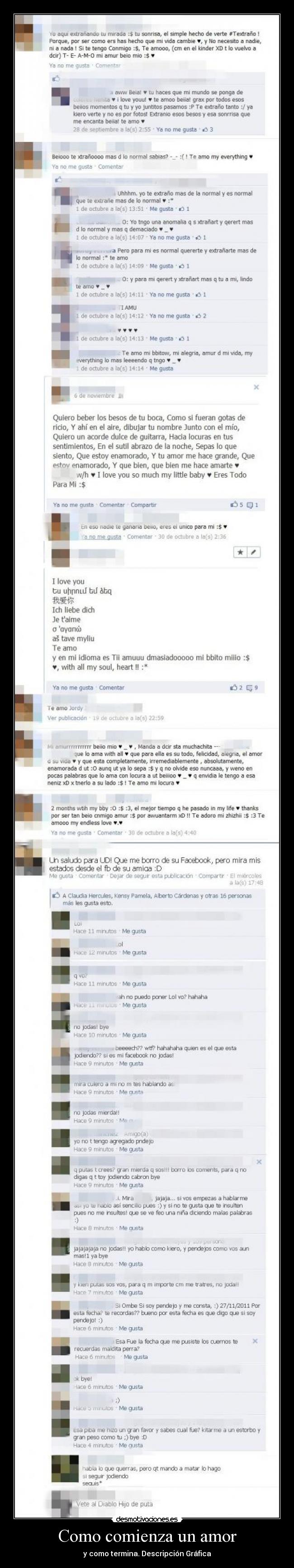 Como comienza un amor - y como termina. Descripción Gráfica