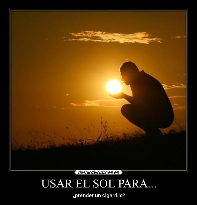 carteles flor gomez desmotivaciones