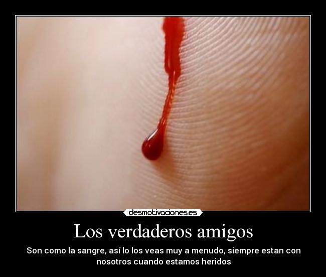 Los verdaderos amigos - 