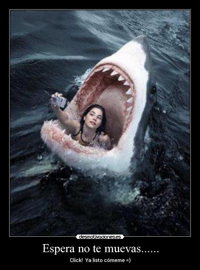 Espera no te muevas...... - 
