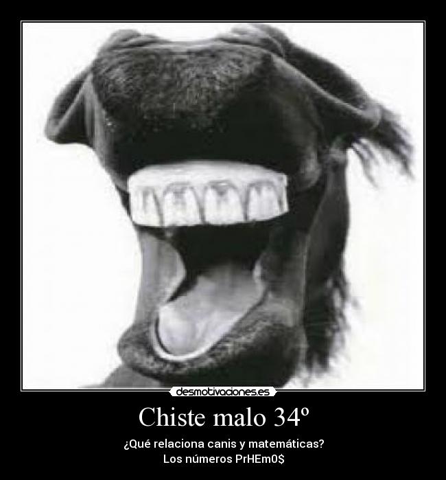 Chiste malo 34º - ¿Qué relaciona canis y matemáticas?
Los números PrHEm0$