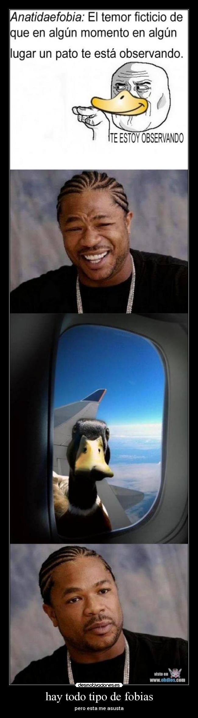 hay todo tipo de fobias - 