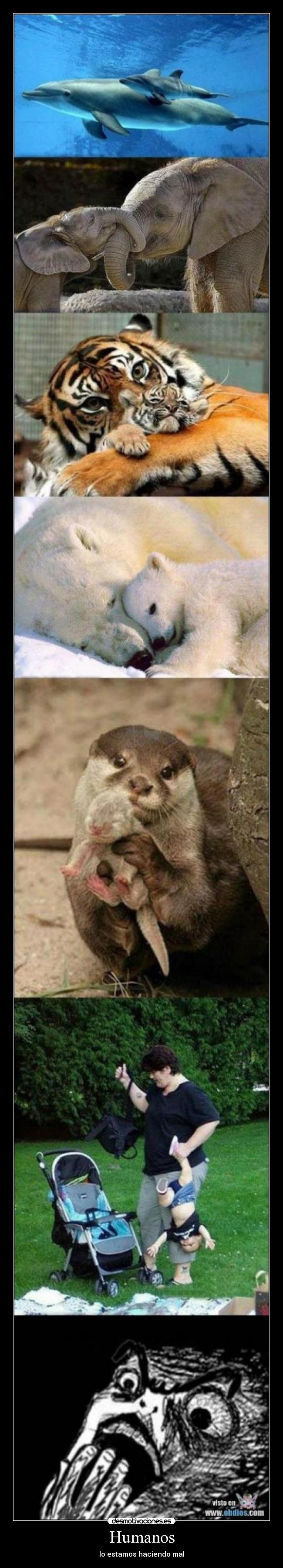 Humanos - lo estamos haciendo mal