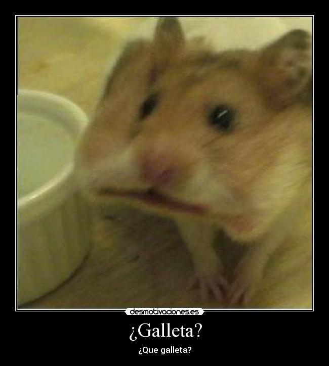 ¿Galleta? - 