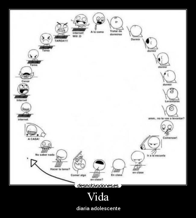 Vida -