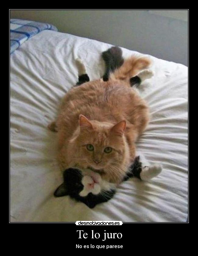 carteles walt sus ratos libres desmotivaciones