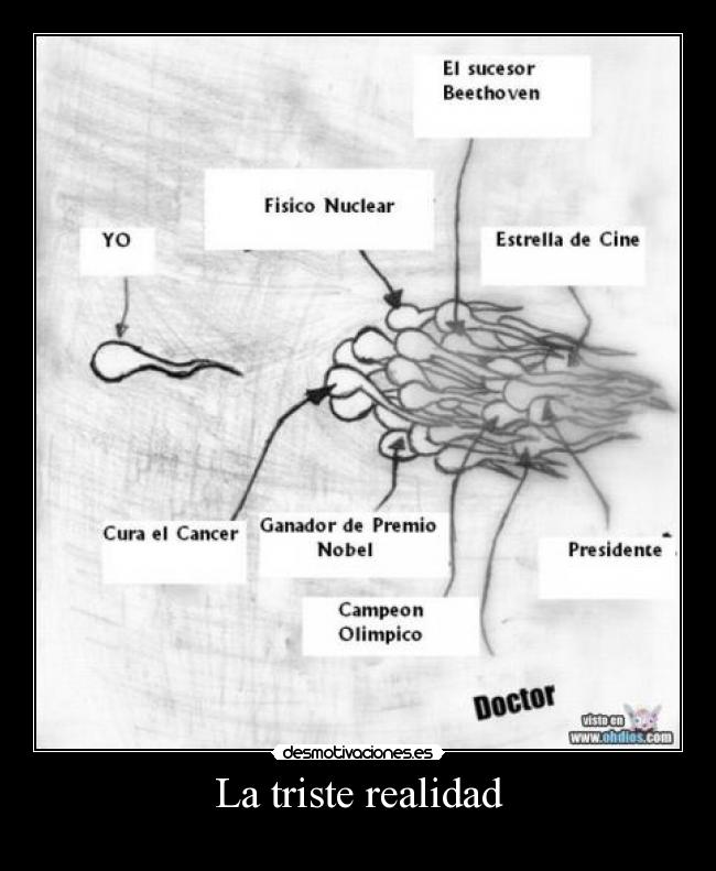 La triste realidad - 