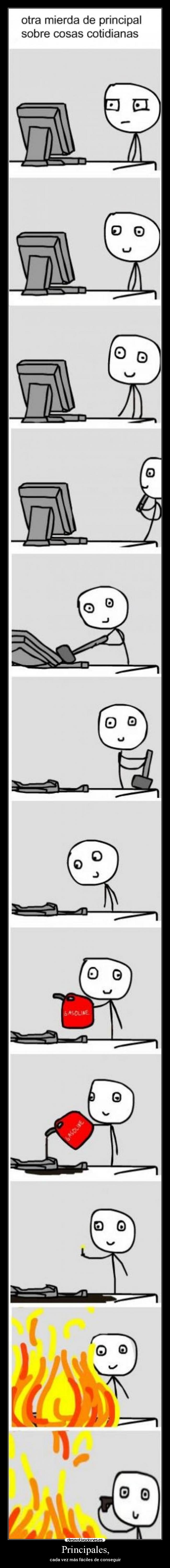 Principales, - cada vez más fáciles de conseguir