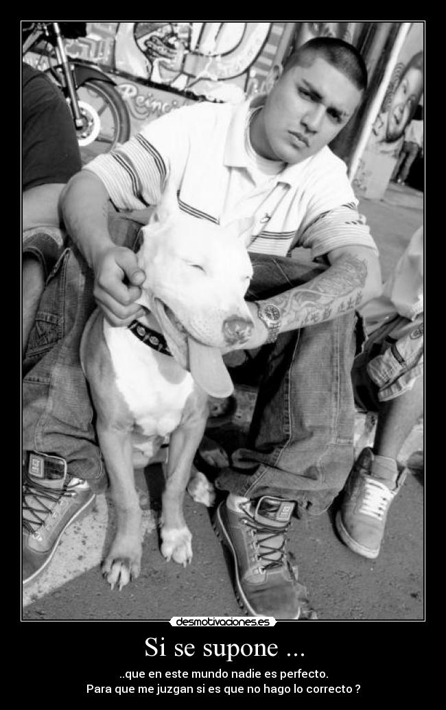 Si se supone ... - ..que en este mundo nadie es perfecto.
Para que me juzgan si es que no hago lo correcto ?