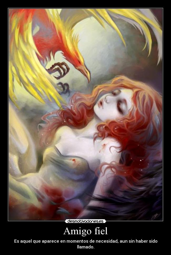 carteles pluma fenix revive sus lagrimas pueden curar cualquier mal desmotivaciones