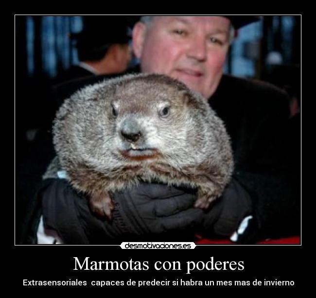 Marmotas con poderes - Extrasensoriales capaces de predecir si habra un mes mas de invierno