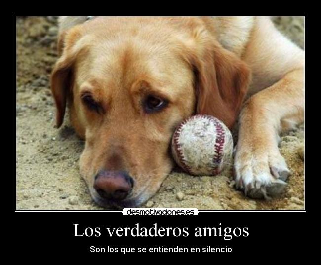 Los verdaderos amigos -