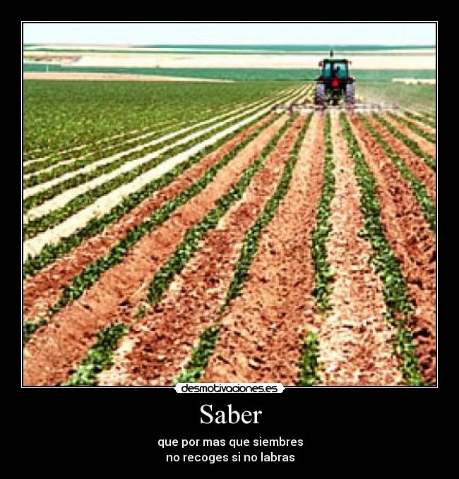 Saber - que por mas que siembres
no recoges si no labras