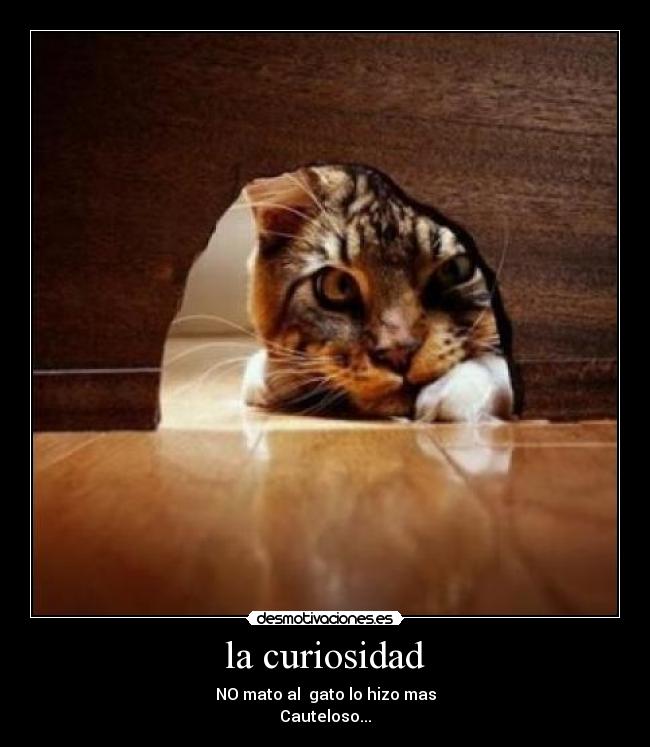 la curiosidad -