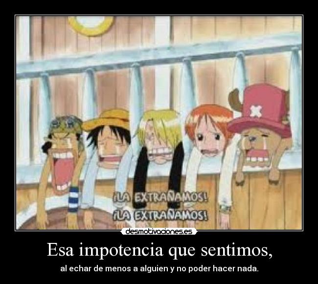 carteles one piece que impotencia mas grande desmotivaciones