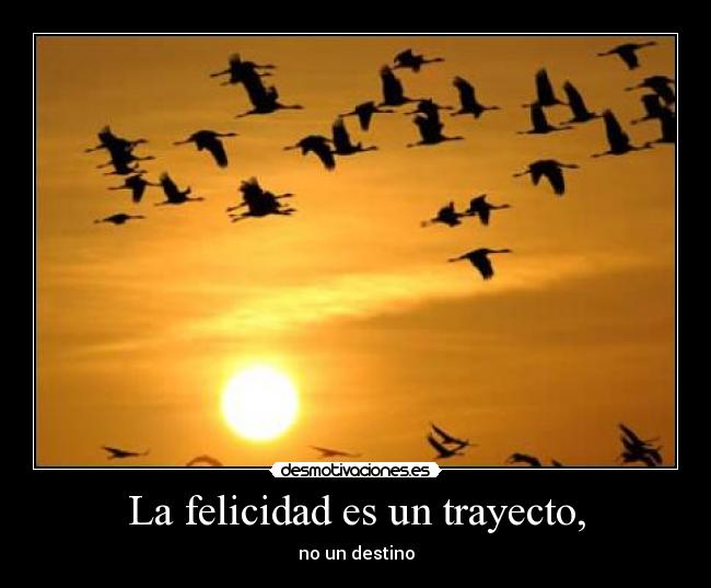 carteles felicidad pensando frase para cartel tummus jajaja desmotivaciones