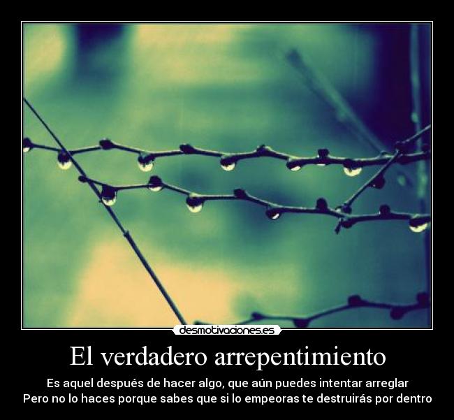 El verdadero arrepentimiento - 