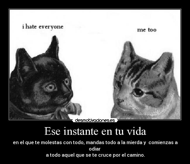 carteles vida alguien esta igual que entiende llama fuuuuuuuuuuuuuuuu desmotivaciones