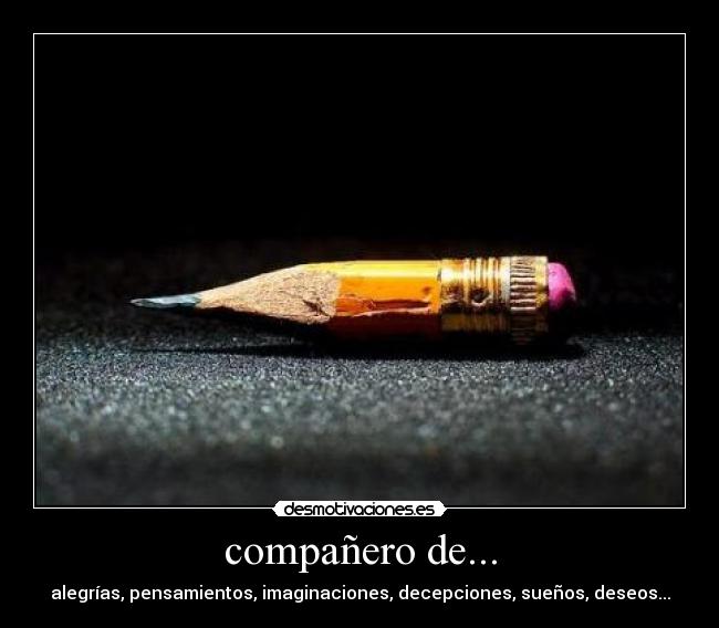 compañero de... -