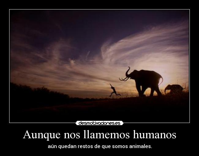Aunque nos llamemos humanos - aún quedan restos de que somos animales.