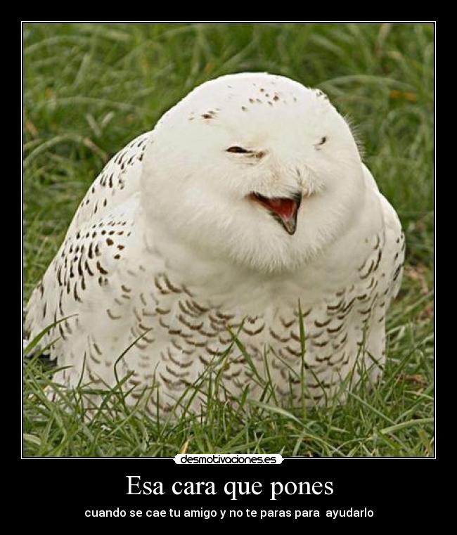 Esa cara que pones - cuando se cae tu amigo y no te paras para ayudarlo