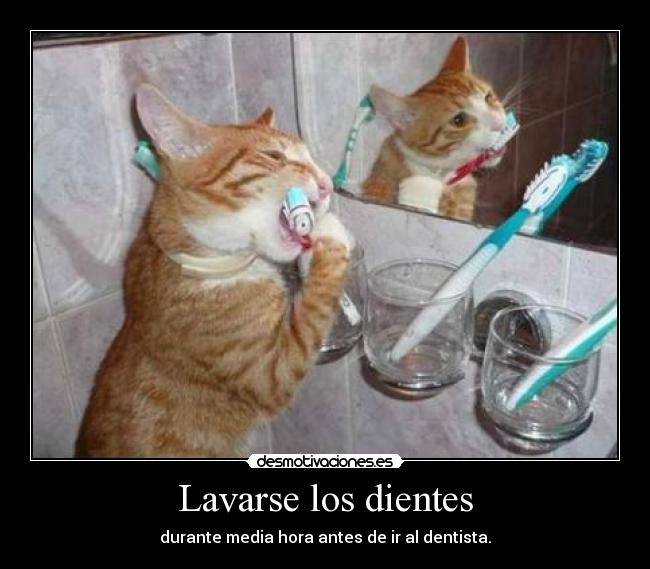 Lavarse los dientes -