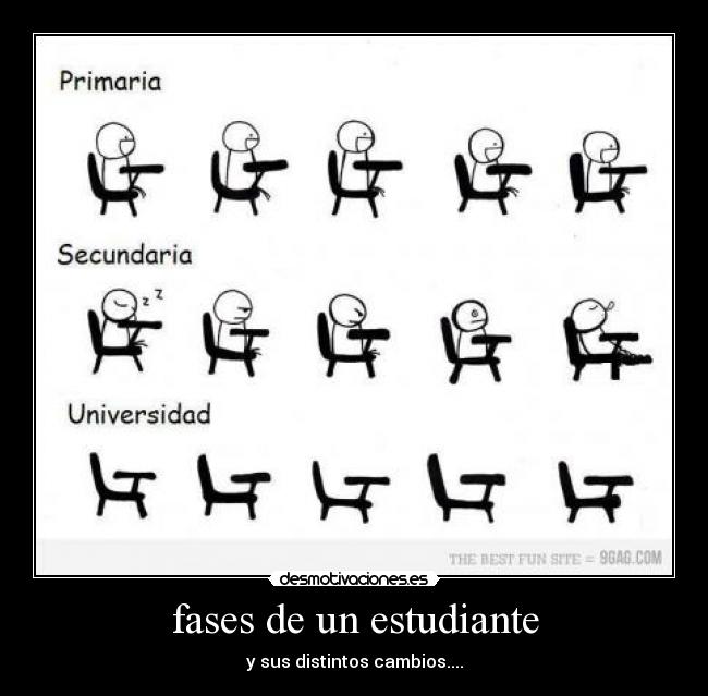 fases de un estudiante -