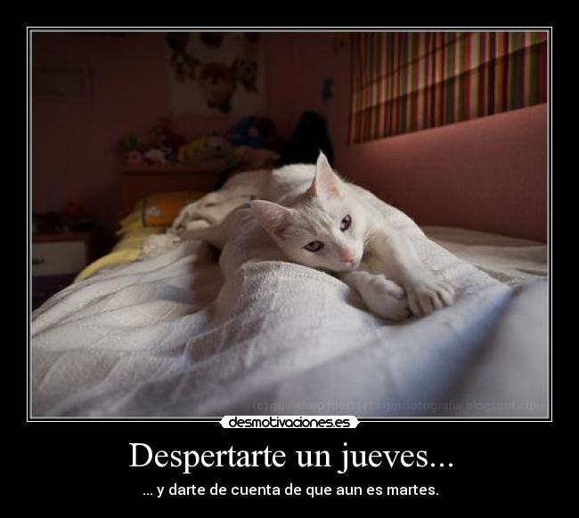 Despertarte un jueves... -