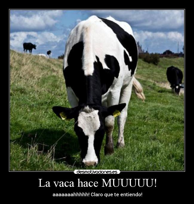 La vaca hace MUUUUU! - aaaaaaahhhhh! Claro que te entiendo!