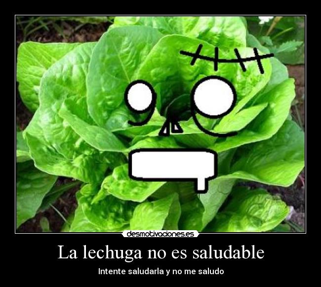 La lechuga no es saludable - 