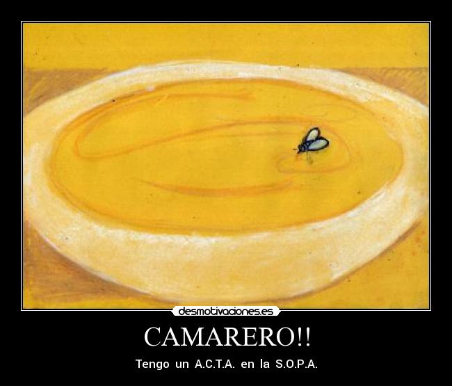 CAMARERO!! - Tengo un A.C.T.A. en la S.O.P.A.