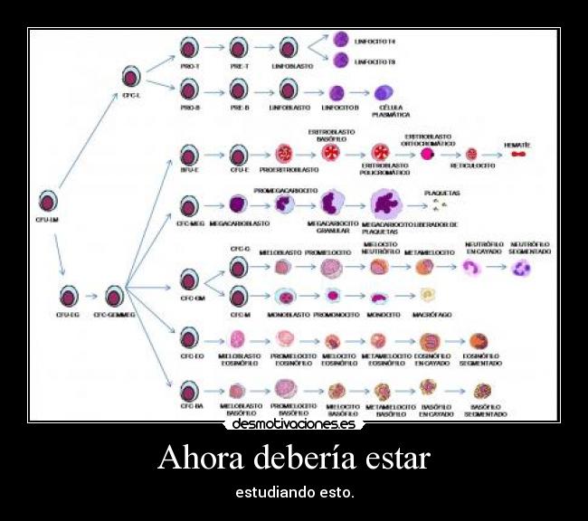 carteles ahora deberia estar desmotivaciones