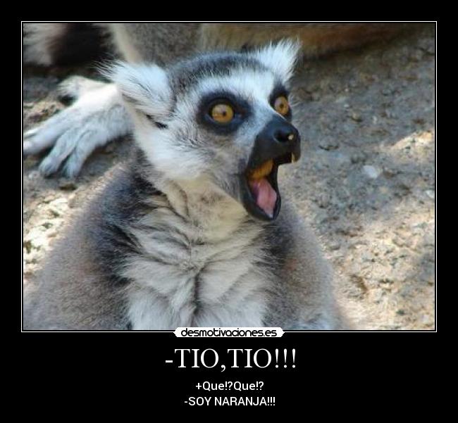 -TIO,TIO!!! -
